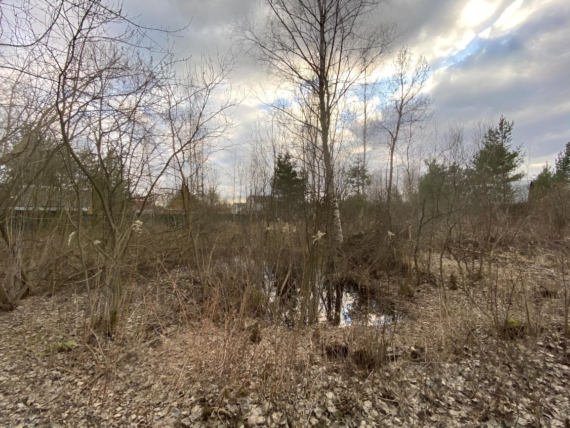 Купить загородную недвижимость в СНТ Приборостроитель городского округа  Орехово-Зуевского, продажа загородной недвижимости - база объявлений Циан.  Найдено 1 объявление