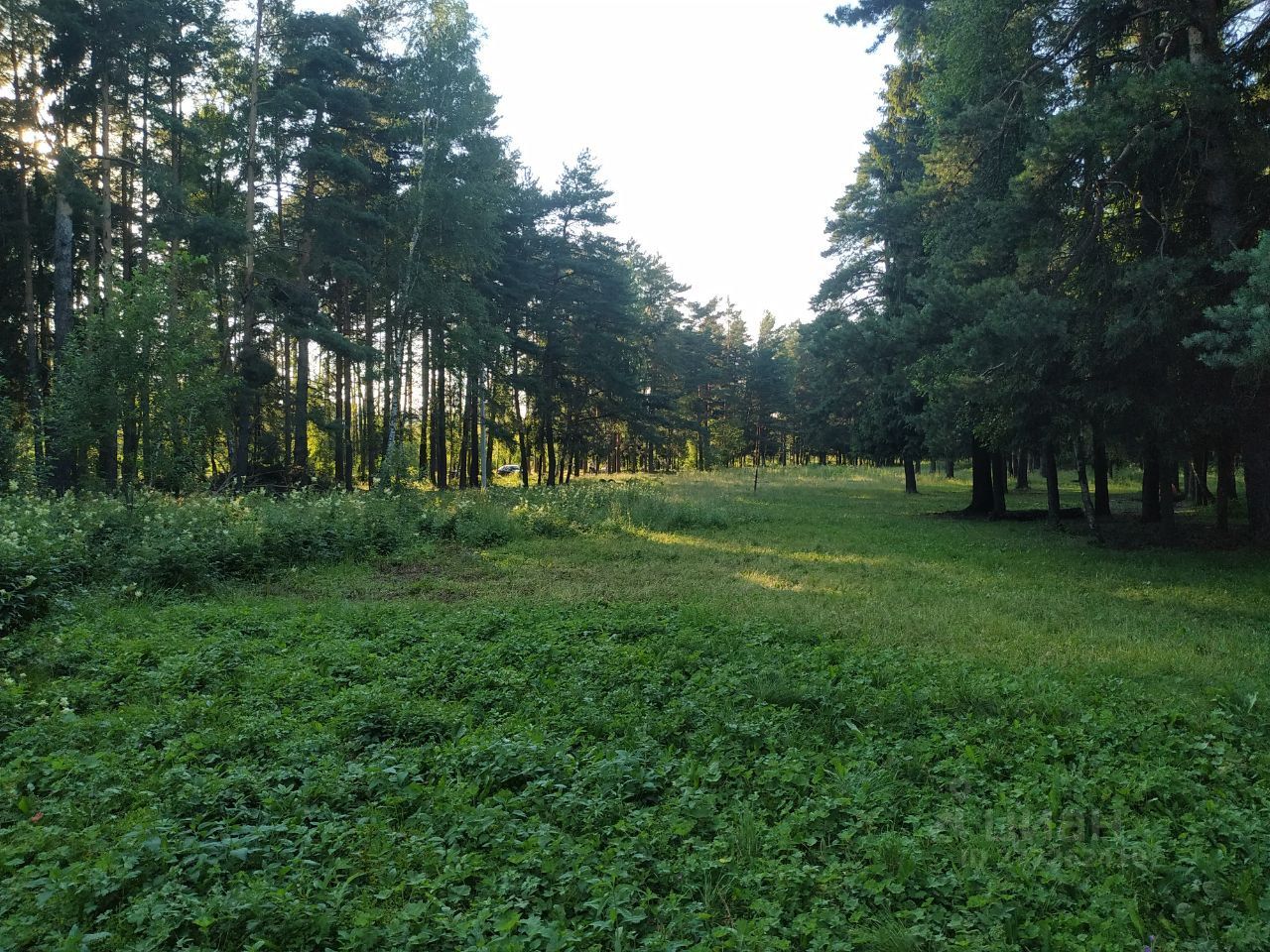 Купить загородную недвижимость в микрорайоне Детская в городе Ивантеевка,  продажа загородной недвижимости - база объявлений Циан. Найдено 1 объявление