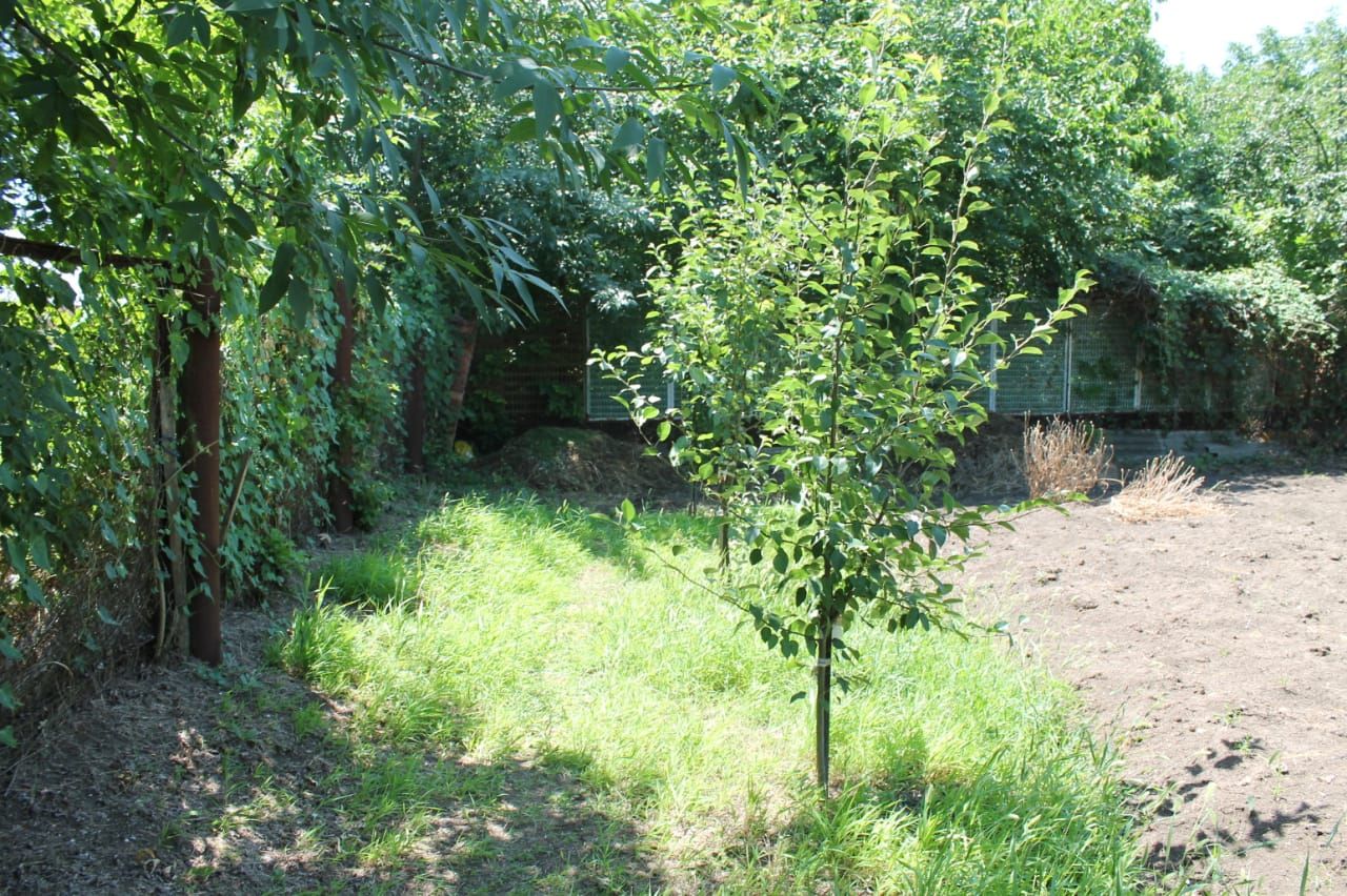 Купить загородную недвижимость на улице Комсомольская в хуторе Морозовский,  продажа загородной недвижимости - база объявлений Циан. Найдено 3 объявления