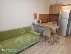 студия, 21 м², этаж 19