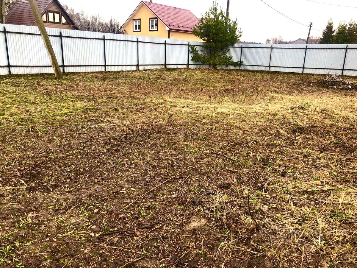 Поляна из нежных цветочков на вашей даче! Как вырастить садовую вербену без лишних хлопот