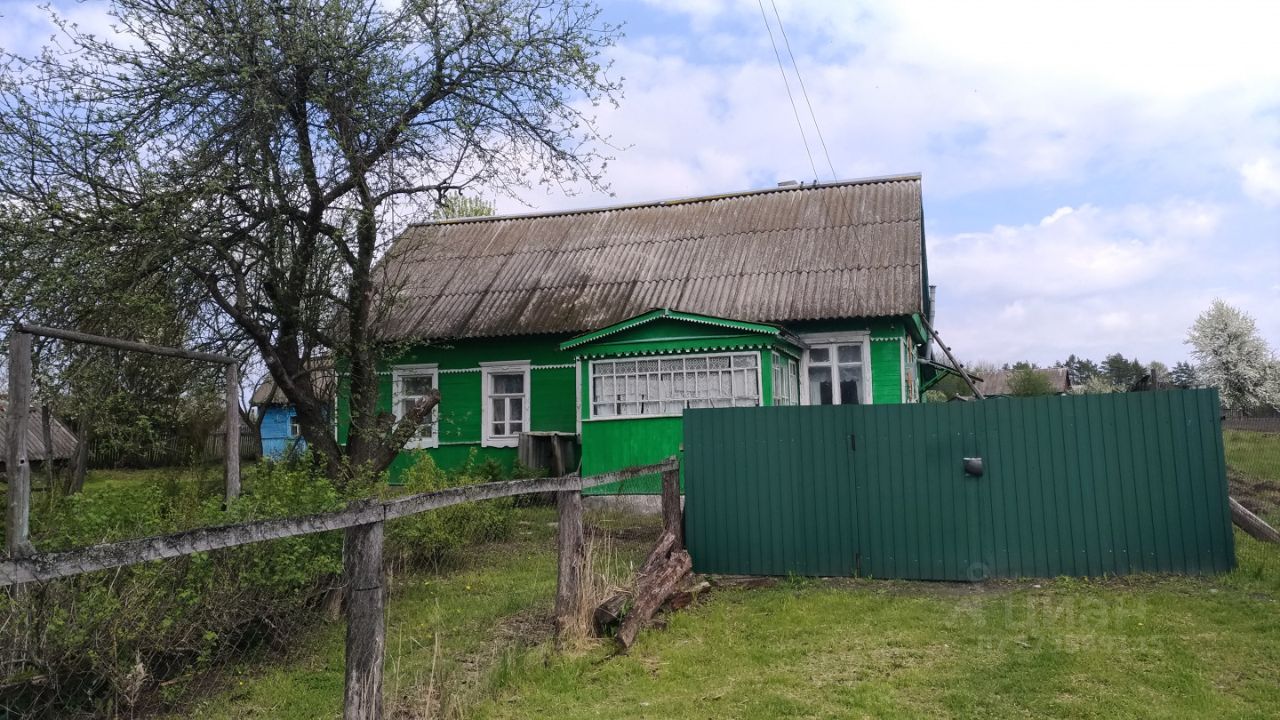 Петуховка Брянская область. Погода в Петуховке Брянская область.