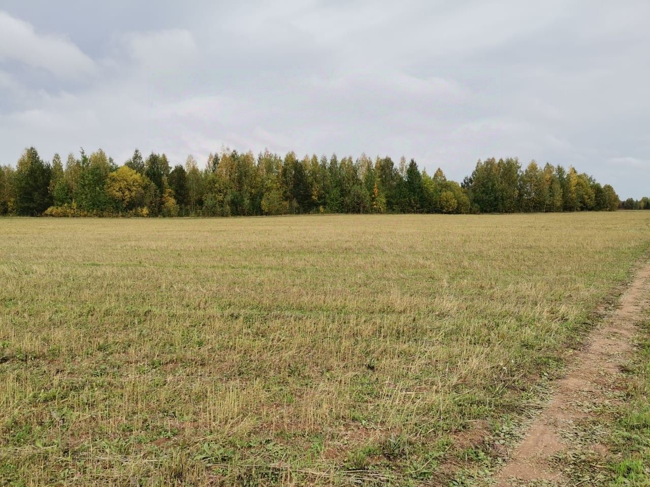 Авито Купить Земельный Участок Нижегородская Область