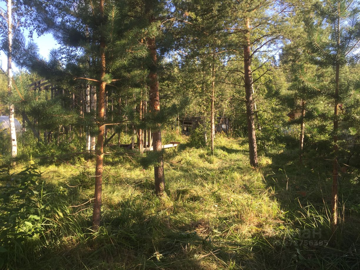 Купить загородную недвижимость в садовое товарищество Мельничный ручей в  садоводческом массиве Ухта, продажа загородной недвижимости - база  объявлений Циан. Найдено 1 объявление