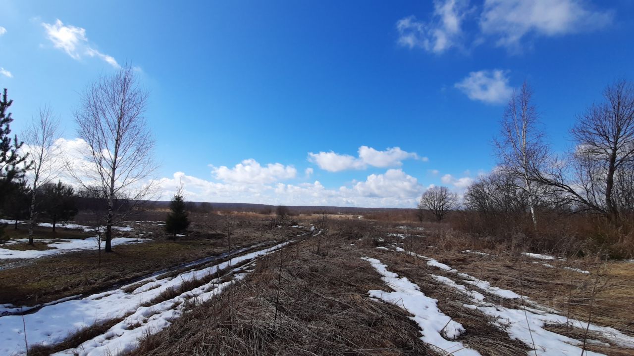 Купить загородную недвижимость в деревне Чернецкое Александровского района,  продажа загородной недвижимости - база объявлений Циан. Найдено 5 объявлений