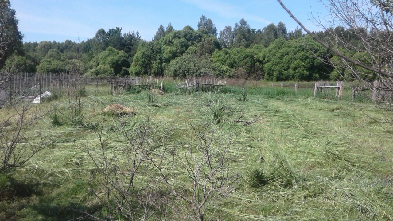 Купить загородную недвижимость в деревне Егорово Клепиковского района,  продажа загородной недвижимости - база объявлений Циан. Найдено 3 объявления