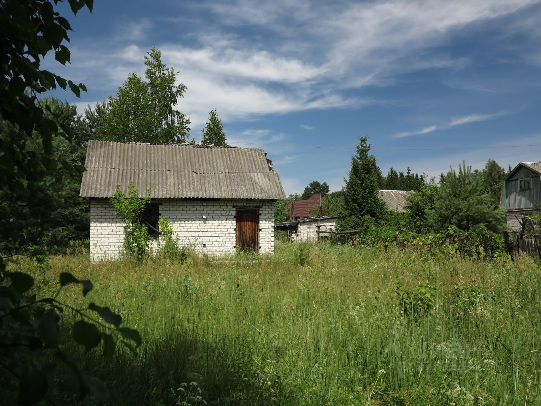 Купить загородную недвижимость в садовом обществе Октябрьское в городе  Брянск, продажа загородной недвижимости - база объявлений Циан. Найдено 2  объявления