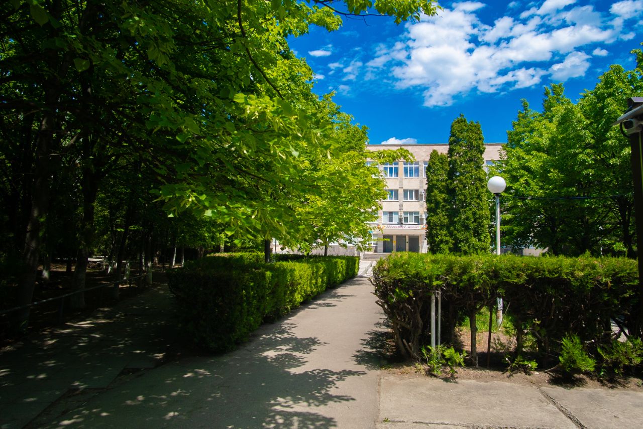 Парки
