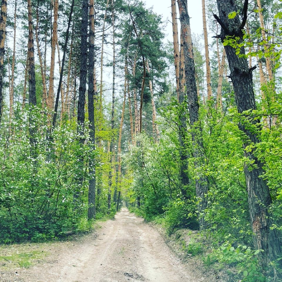 Купить загородную недвижимость в СНТ Ромашка Рамонского района, продажа  загородной недвижимости - база объявлений Циан. Найдено 4 объявления