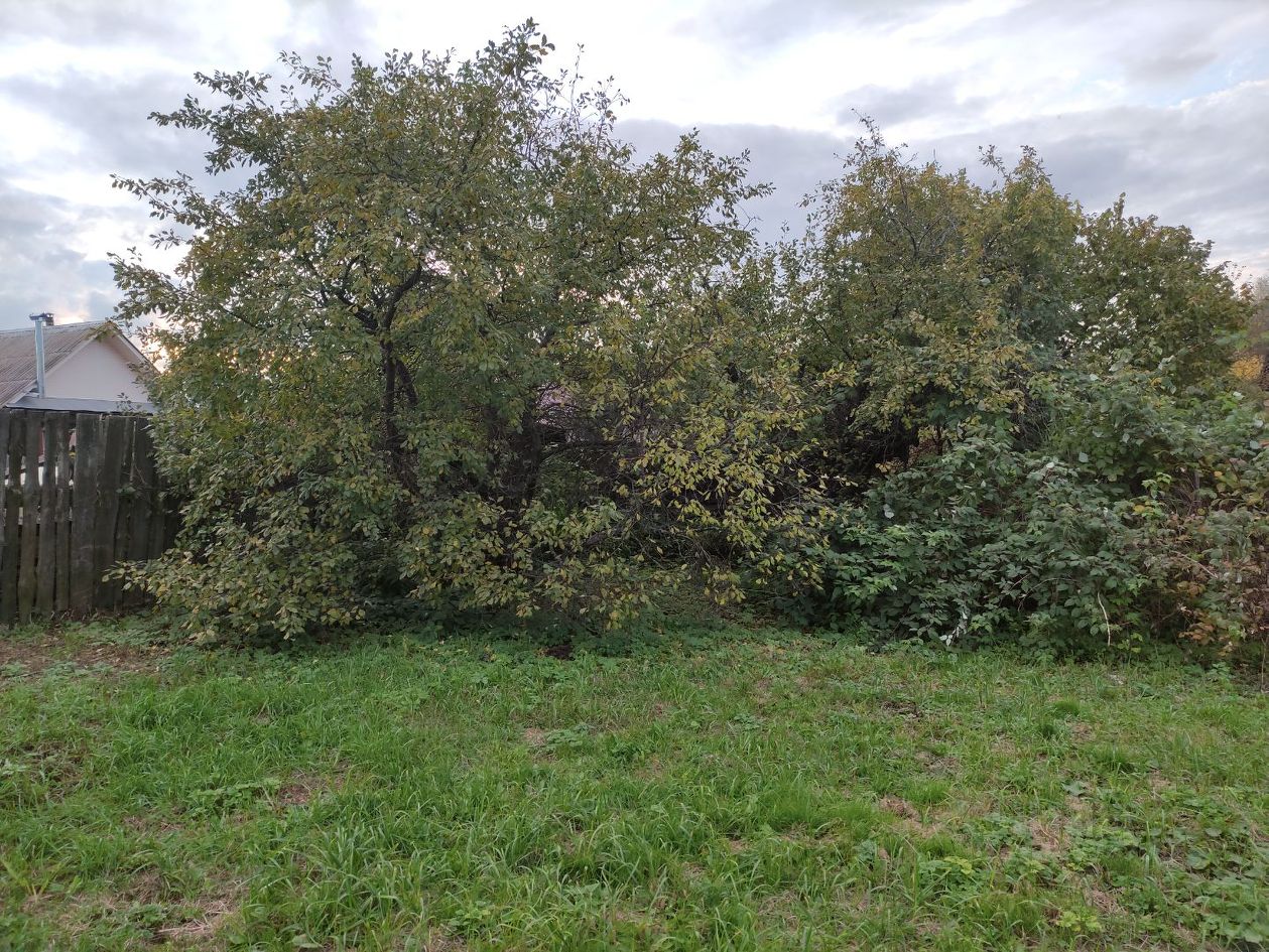 Купить дом с баней в Городце, продажа домов с баней и участком в Городце.  Найдено 10 объявлений.