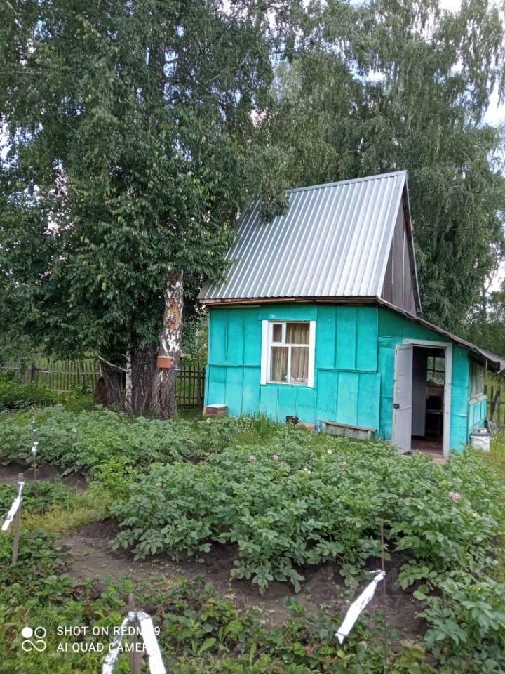 Небольшой домик в простом архитектурном стиле с ярко-зеленой деревянной отделкой. Крыша с металлическим покрытием имеет наклонную форму, что характерно для дачных строений. Окно с белыми рамами и занавесками позволяет естественному свету проникать внутрь. Входная дверь расположена сбоку, что создает уютный доступ в помещение. Вокруг дома расположены грядки с картофелем, что подчеркивает сельскую атмосферу. Общий вид дома и его окружение создают ощущение уединения и простоты, идеально подходящего для загородного отдыха.