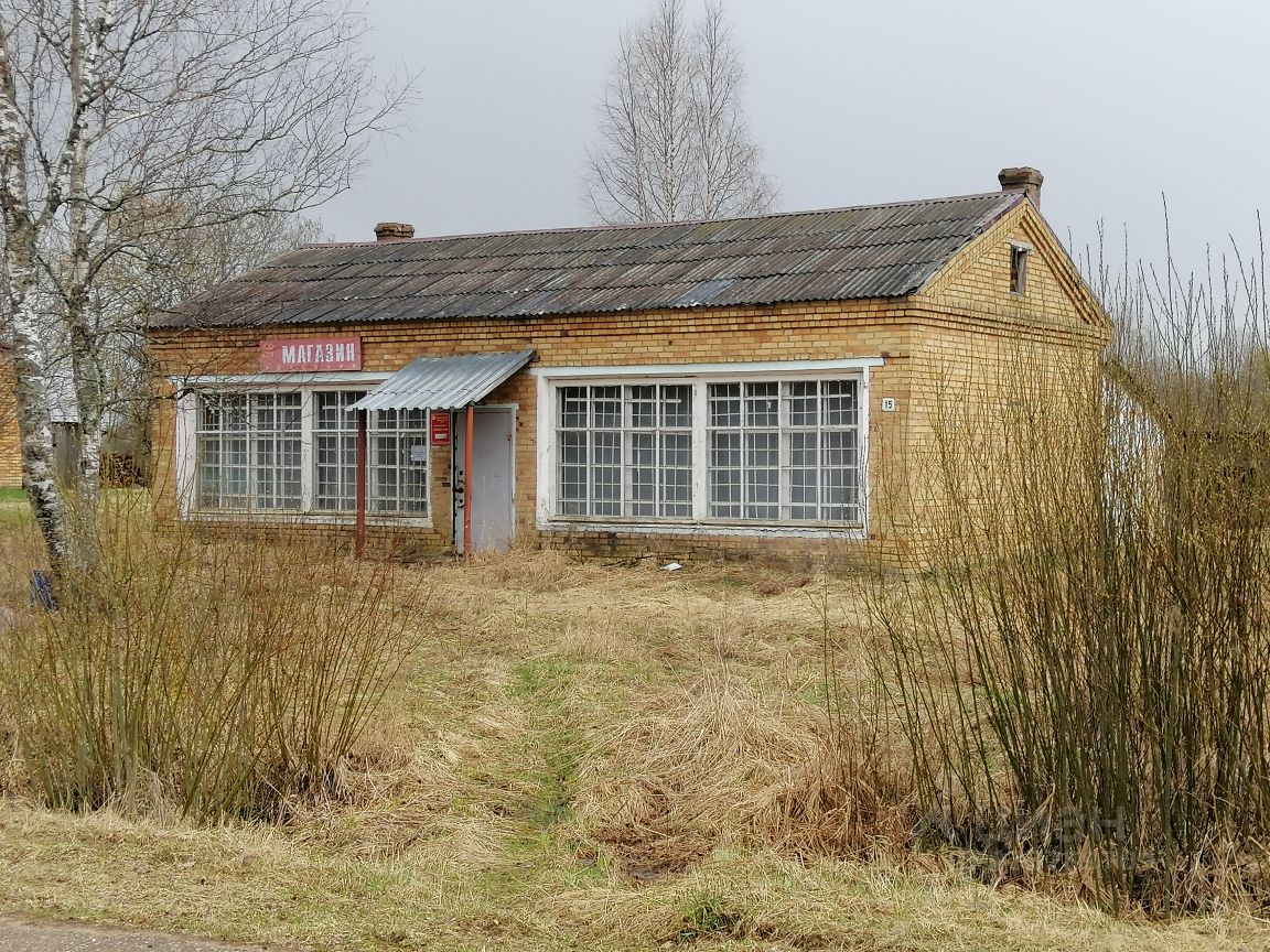 дома в змейско новгородской обл (99) фото