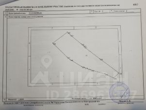 участок 35.8 сот.