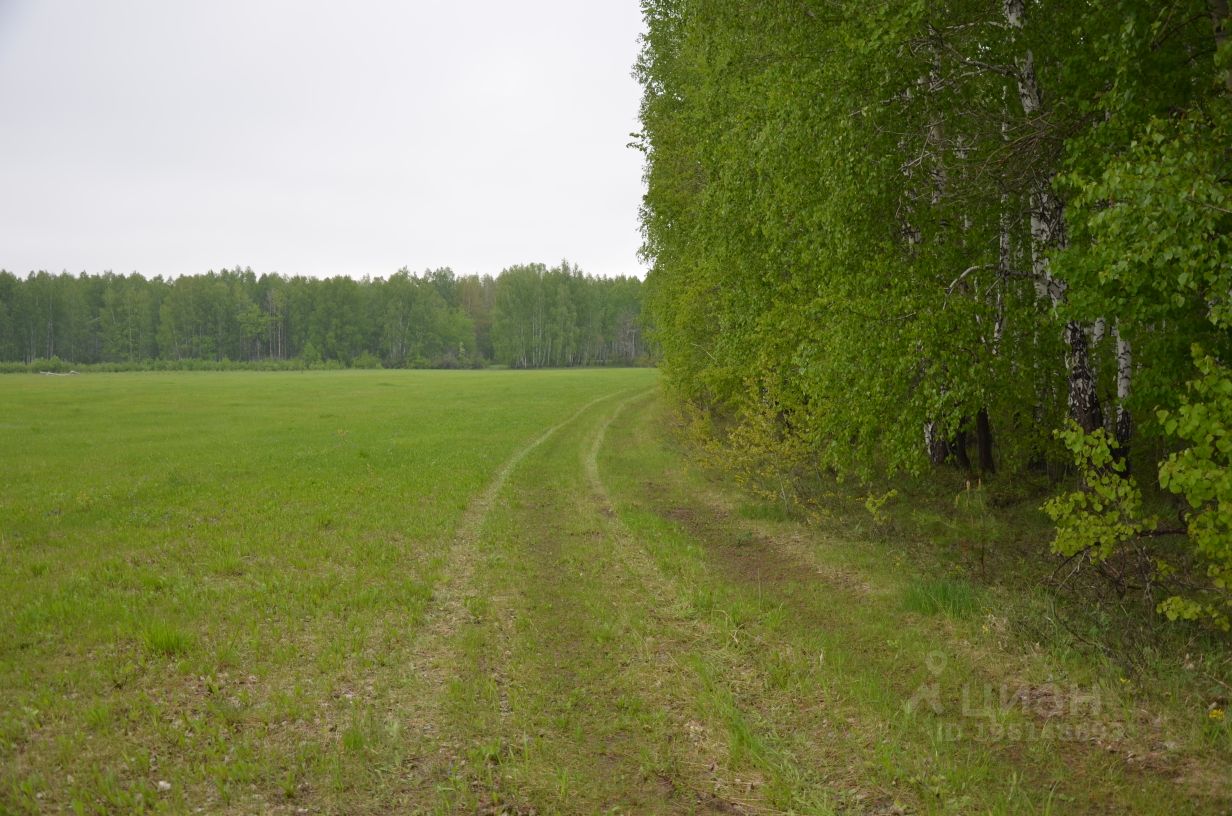 Купить загородную недвижимость в поселке Ишалино Аргаяшского района,  продажа загородной недвижимости - база объявлений Циан. Найдено 1 объявление