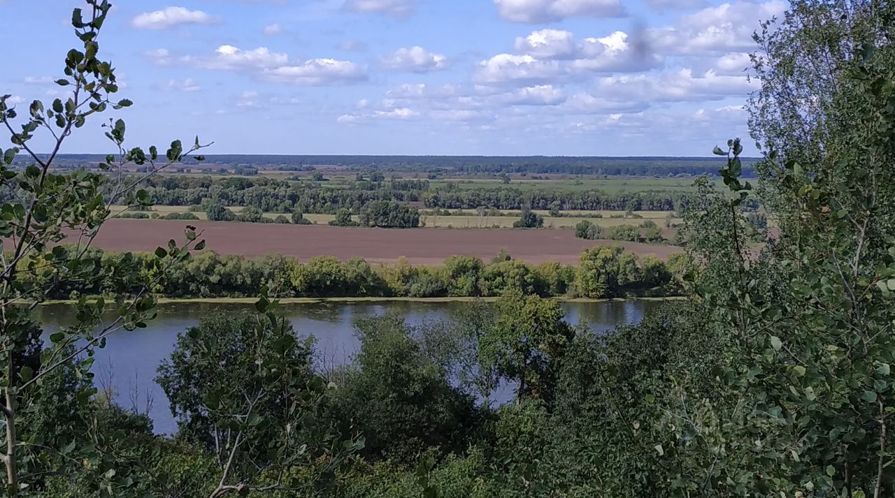 Погода в слемах рязанской