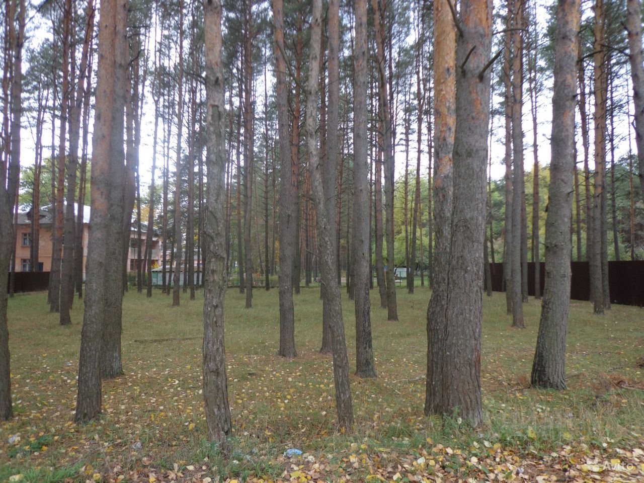 Купить земельный участок в микрорайоне Гнездово в городе Смоленск, продажа  земельных участков - база объявлений Циан. Найдено 1 объявление