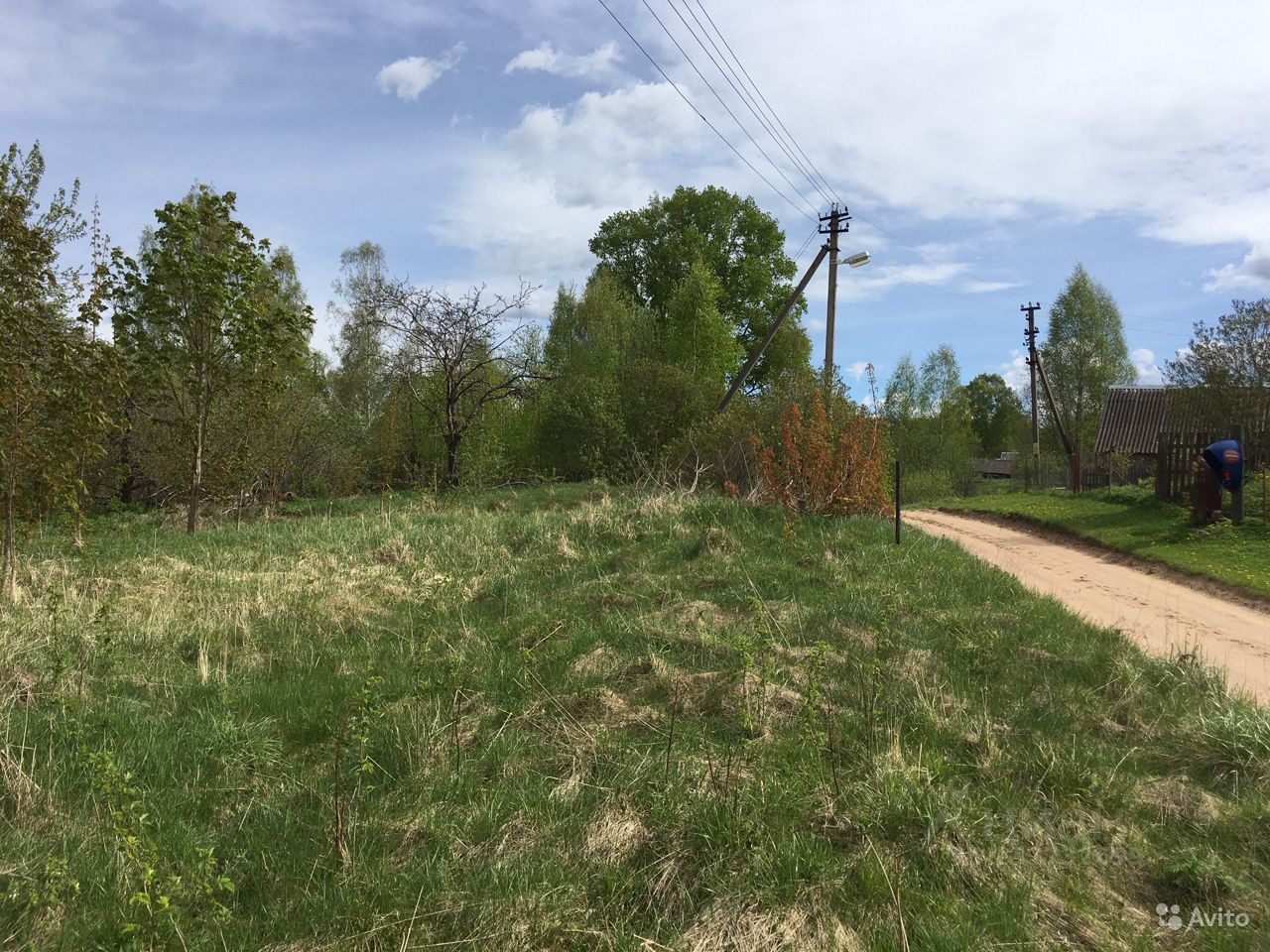 Деревня Аборино Московская область Богородский городской. Деревня Оборино Ярославская область. Кардон с именем Оборино Пермь.