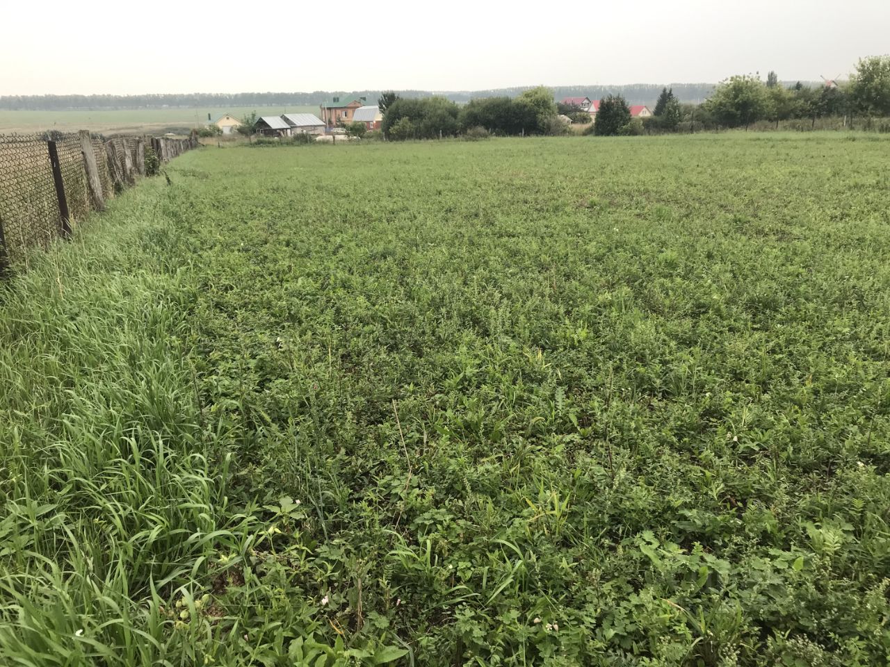 Купить загородную недвижимость в деревне Новая Чишминского района, продажа  загородной недвижимости - база объявлений Циан. Найдено 1 объявление