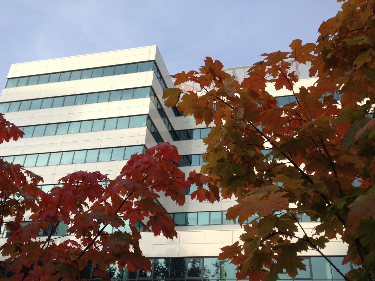 продажа помещений в БЦ Ленинский Проспект 119