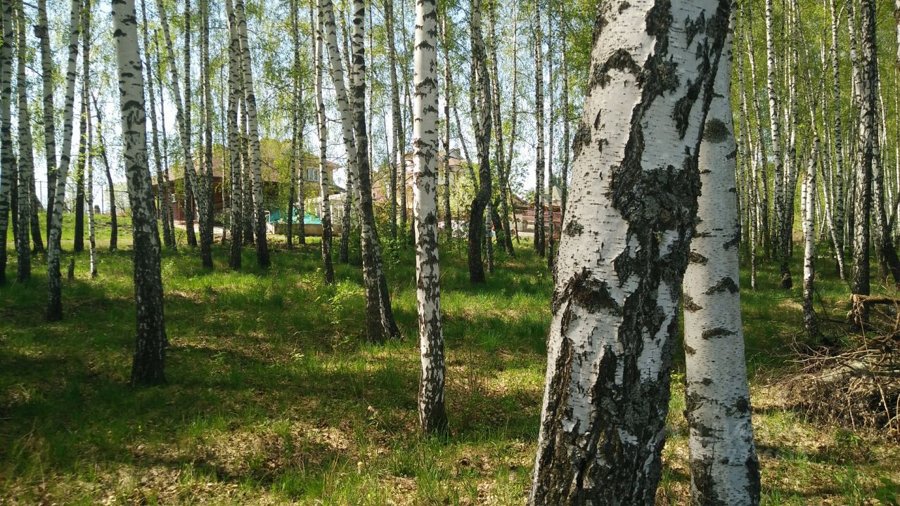 Купить загородную недвижимость в поселке Горки Орловского района, продажа  загородной недвижимости - база объявлений Циан. Найдено 7 объявлений