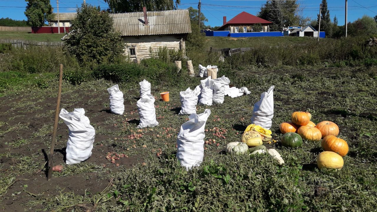 Купить земельный участок в селе Садовка Стерлитамакского района, продажа  земельных участков - база объявлений Циан. Найдено 1 объявление