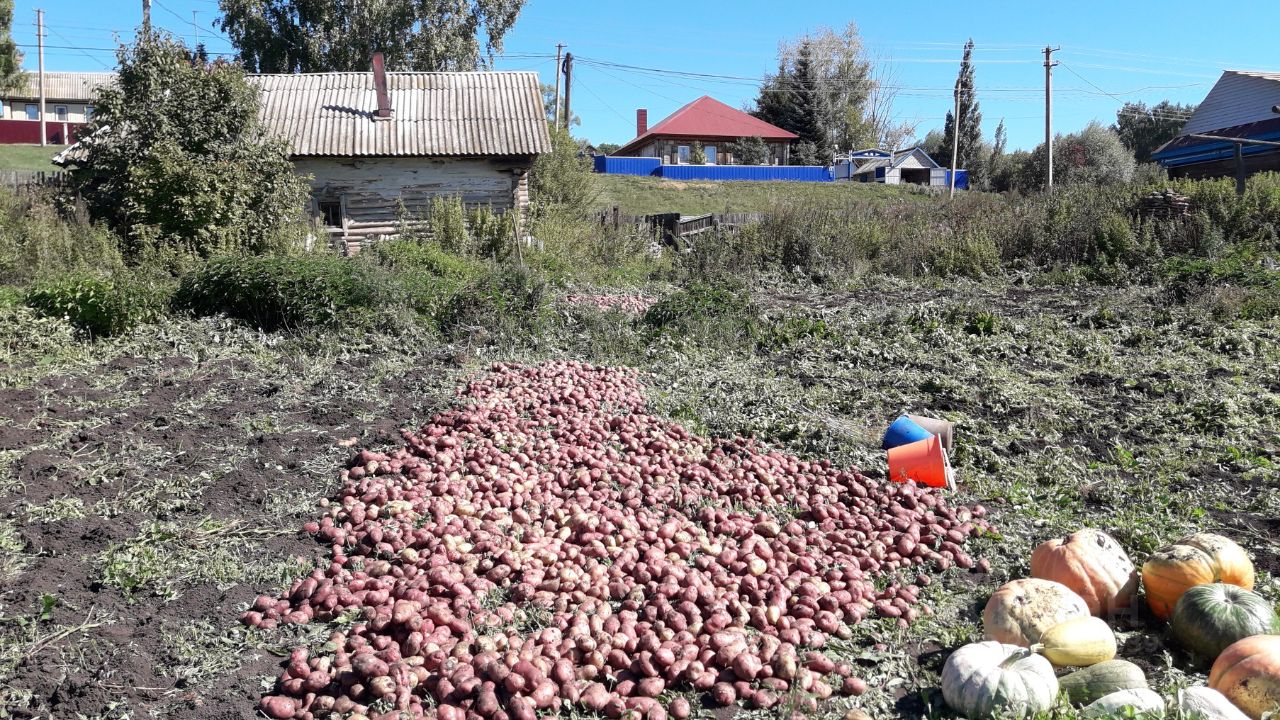 Купить земельный участок в селе Садовка Стерлитамакского района, продажа  земельных участков - база объявлений Циан. Найдено 1 объявление