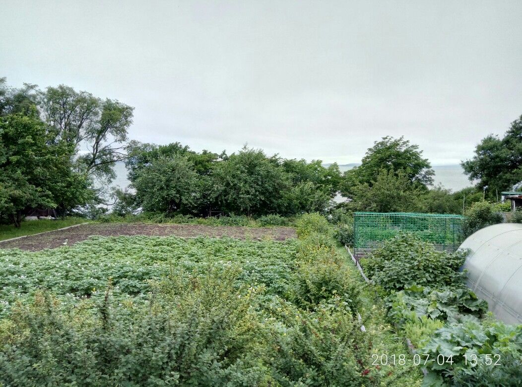 Купить земельный участок в микрорайоне Чайка в городе Владивосток, продажа  земельных участков - база объявлений Циан. Найдено 5 объявлений