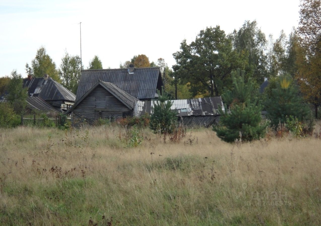 Купить загородную недвижимость в деревне Федурино Городецкого района,  продажа загородной недвижимости - база объявлений Циан. Найдено 5 объявлений