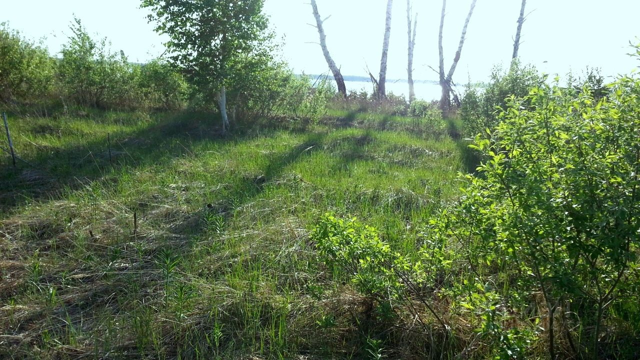 Купить загородную недвижимость в СНТ Луч Аргаяшского района, продажа  загородной недвижимости - база объявлений Циан. Найдено 2 объявления