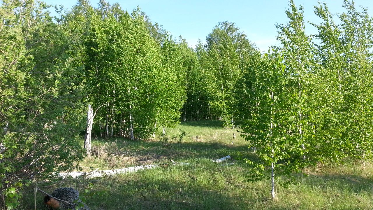 Купить загородную недвижимость в СНТ Луч Аргаяшского района, продажа  загородной недвижимости - база объявлений Циан. Найдено 2 объявления