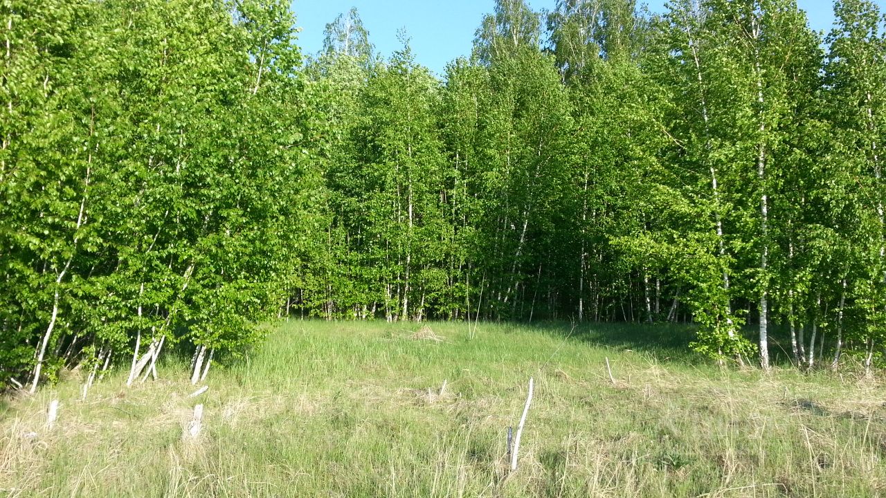 Купить загородную недвижимость в СНТ Луч Аргаяшского района, продажа  загородной недвижимости - база объявлений Циан. Найдено 2 объявления