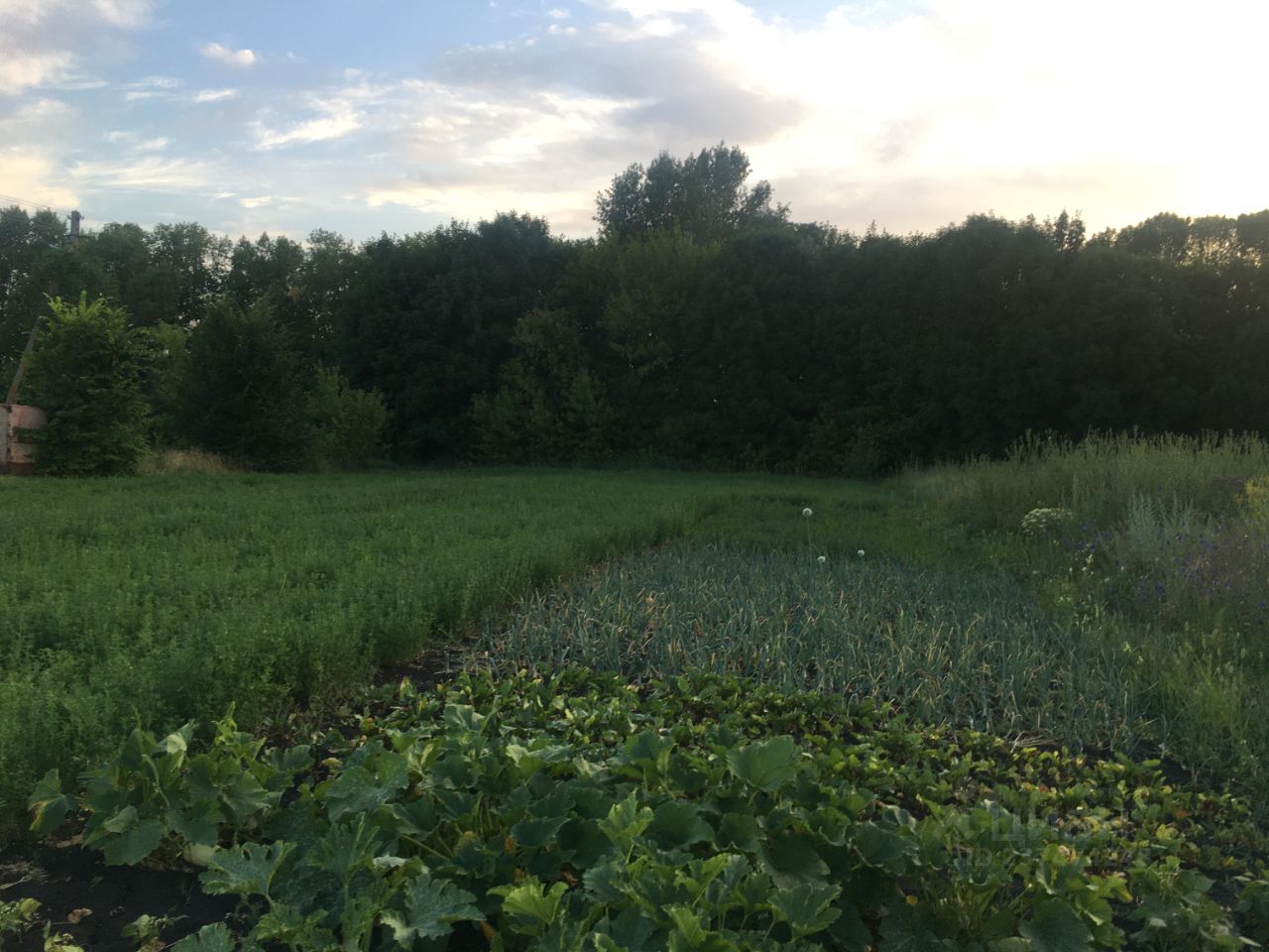 Продаю участок 12сот. ул. Дзержинского, Воронежская область, Аннинское  городское поселение, Анна пгт - база ЦИАН, объявление 237474248