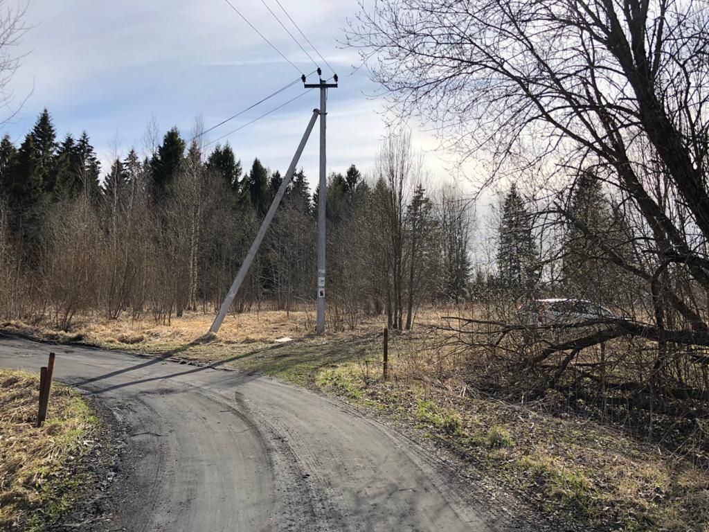 Купить земельный участок в СНТ Сиверский в городском поселении Сиверское,  продажа земельных участков - база объявлений Циан. Найдено 1 объявление