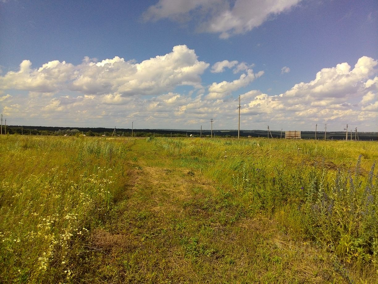 Купить загородную недвижимость в деревне Гремячка Курского района, продажа  загородной недвижимости - база объявлений Циан. Найдено 8 объявлений