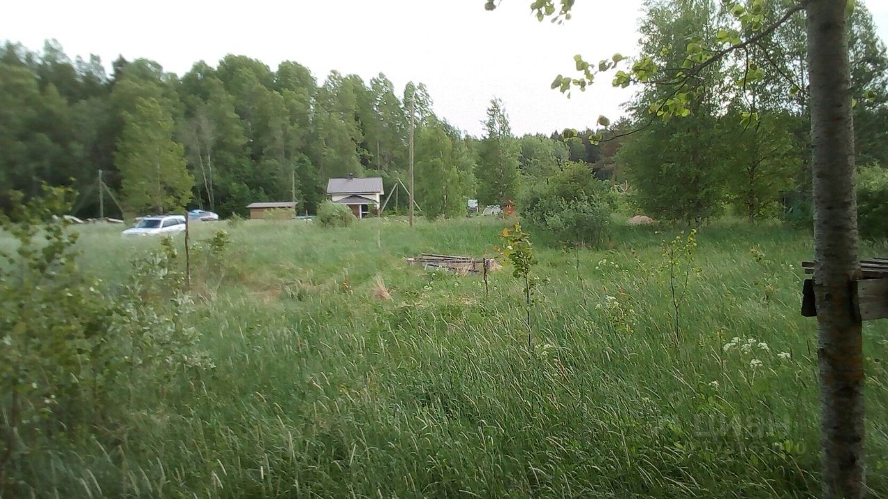 Купить земельный участок в СНТ Зеленая долина в городском поселении  Каменногорское, продажа земельных участков - база объявлений Циан. Найдено  5 объявлений