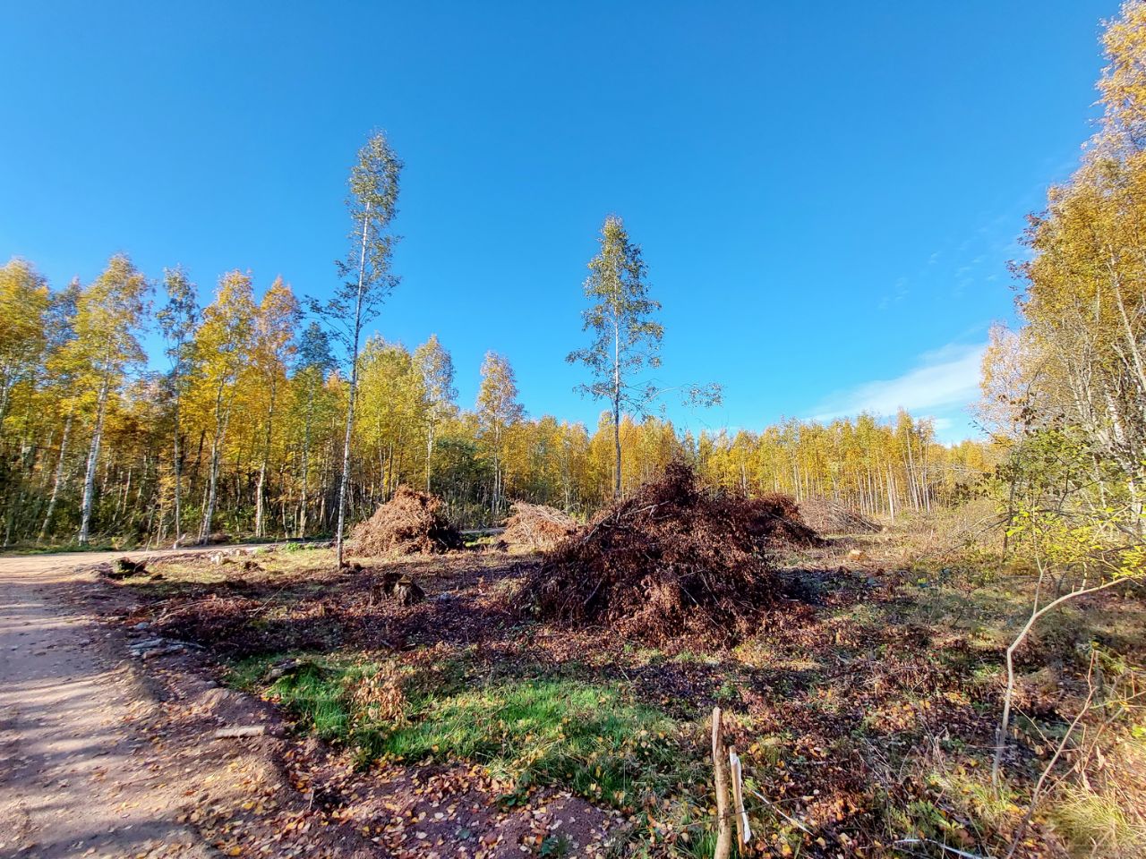 Купить земельный участок в поселке Прибылово Выборгского района, продажа  земельных участков - база объявлений Циан. Найдено 7 объявлений