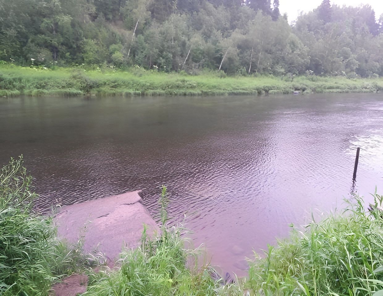 Купить загородную недвижимость в деревне Льзи Волховского района, продажа  загородной недвижимости - база объявлений Циан. Найдено 5 объявлений