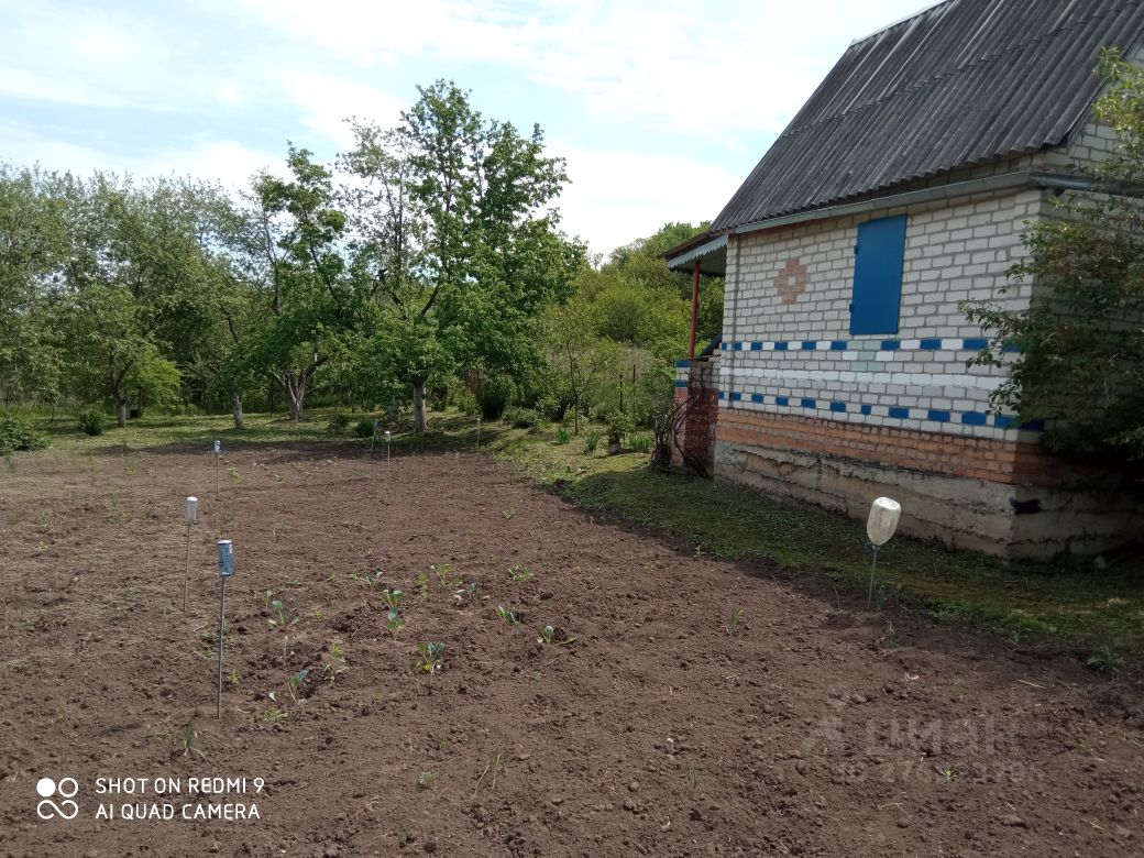 Купить земельный участок СНТ в поселке городского типа Северный  Белгородского района, продажа участков под садоводство. Найдено 4  объявления.