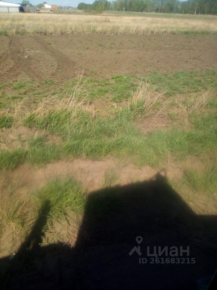 На фотографии видно пространство, представляющее собой участок земли, частично засеянный травой и с открытой почвой. Почва выглядит рыхлой, с небольшими растениями, что указывает на подготовку к посеву. Вдали виднеются постройки, но они не являются основным фокусом изображения. Основные цвета - коричневый и зеленый, что создает ощущение естественности и сельской местности. Структурные элементы не выделяются, так как внимание сосредоточено на земле и растительности. Общая атмосфера спокойная и уединенная, подходящая для загородной жизни.