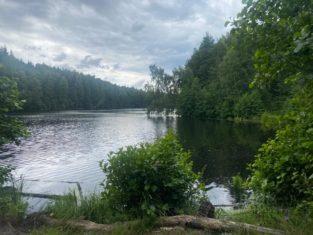 Купить загородную недвижимость на улице Центральная в деревне Михали,  продажа загородной недвижимости - база объявлений Циан. Найдено 2 объявления