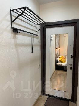 студия, 25 м², этаж 10