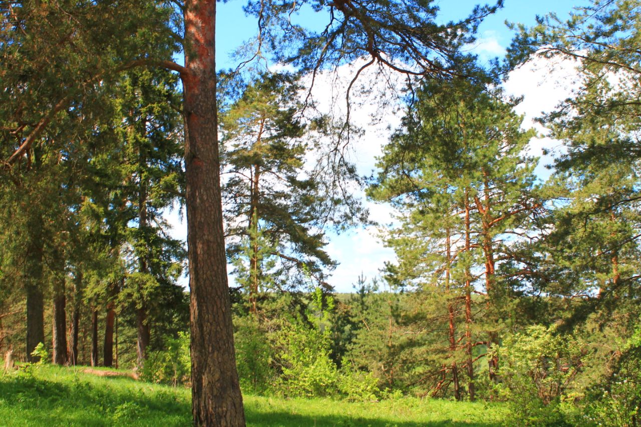 Купить загородную недвижимость в поселке Горка Киржачского района, продажа  загородной недвижимости - база объявлений Циан. Найдено 10 объявлений