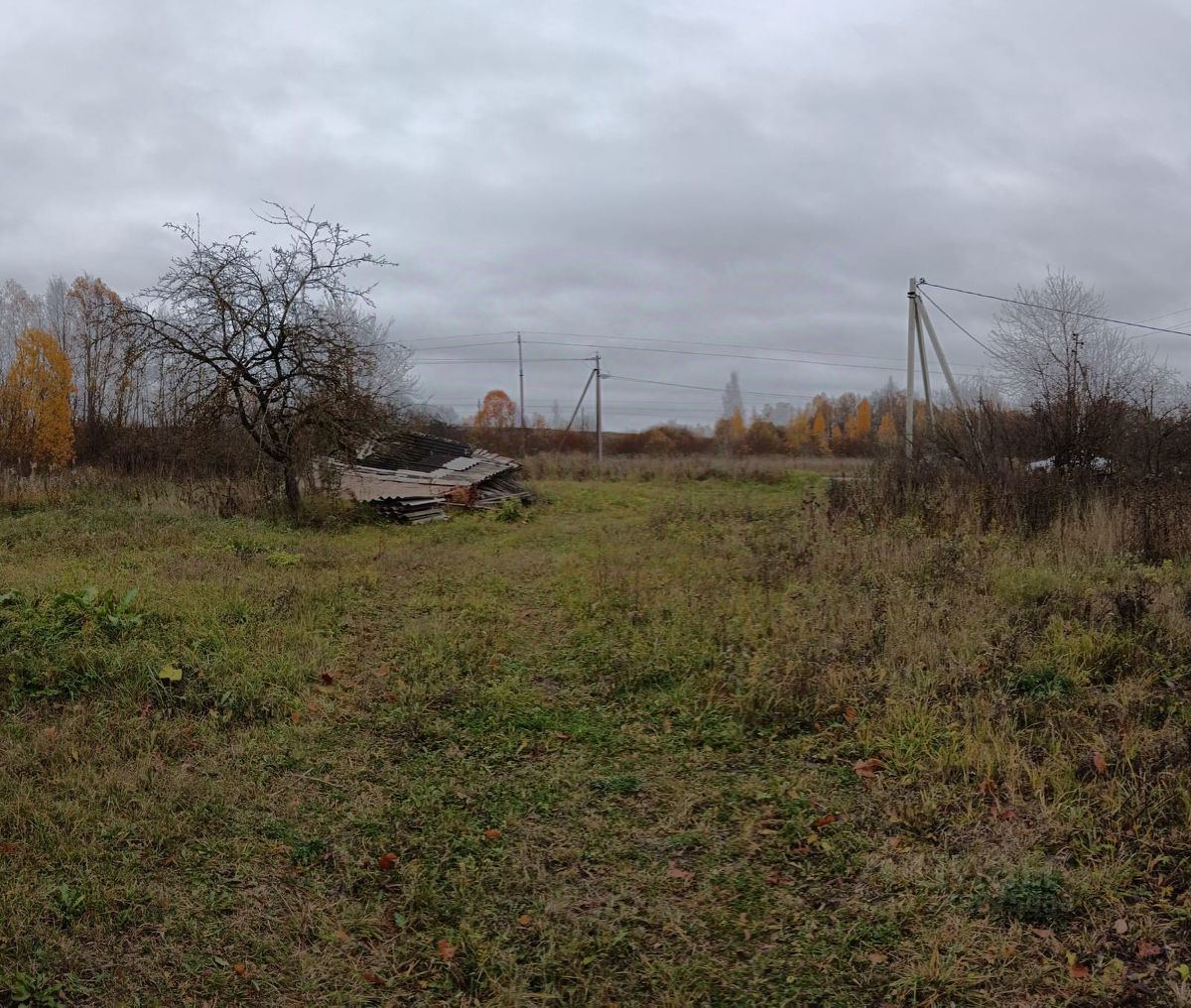 Купить загородную недвижимость на улице Пантелеевская в поселке Оредеж,  продажа загородной недвижимости - база объявлений Циан. Найдено 1 объявление