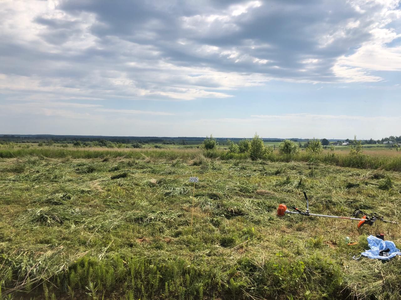 Купить земельный участок в ССПК Луговое городского округа Волоколамского,  продажа земельных участков - база объявлений Циан. Найдено 14 объявлений