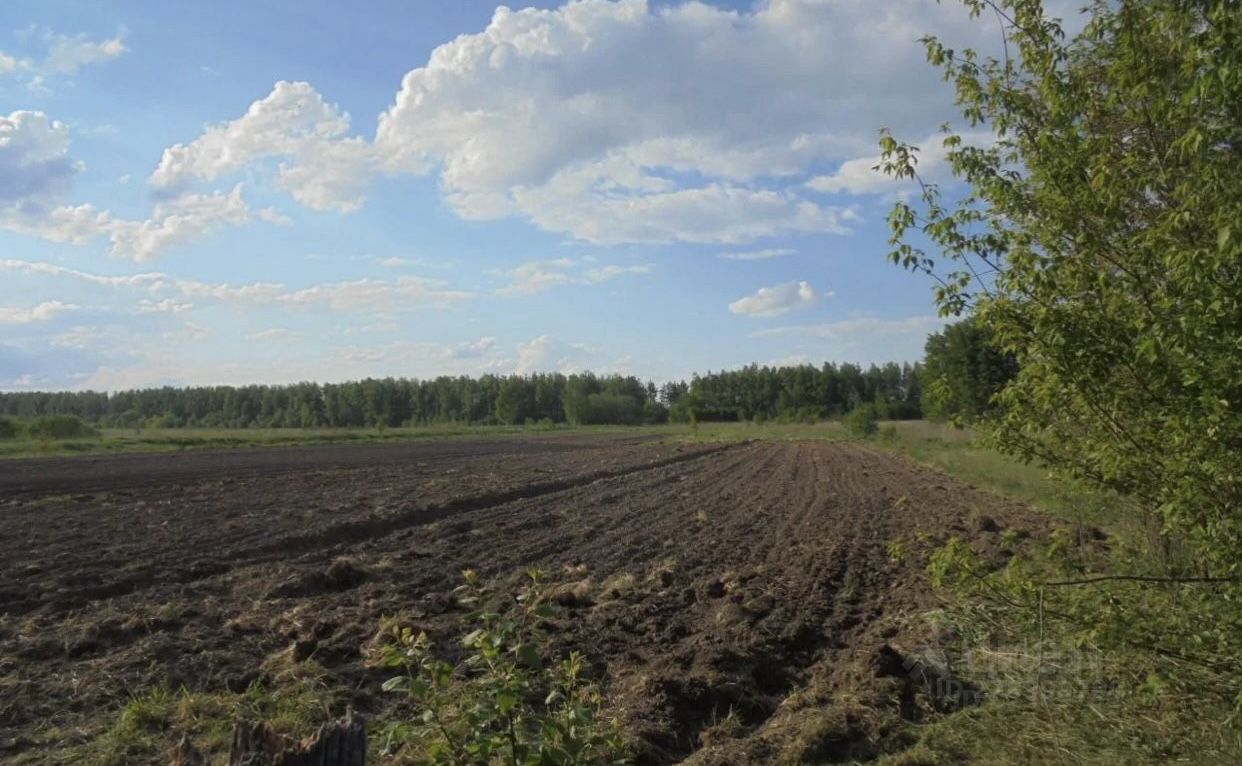 Купить загородную недвижимость в селе Драчево Селивановского района,  продажа загородной недвижимости - база объявлений Циан. Найдено 1 объявление