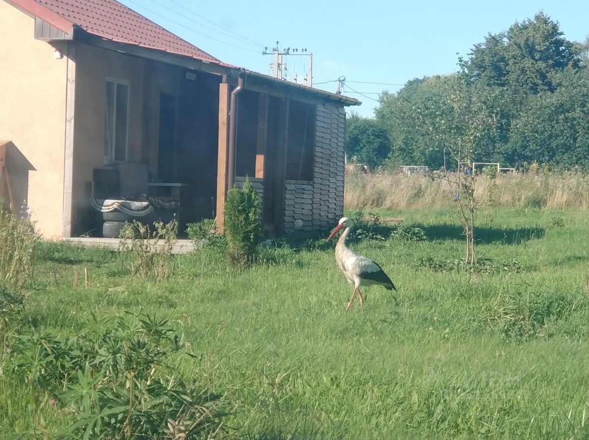 Продажа дома 10сот. Калининградская область, Зеленоградский муниципальный  округ, Романово поселок - база ЦИАН, объявление 281569342