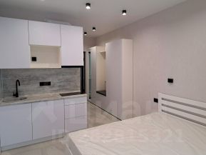 студия, 18 м², этаж 8