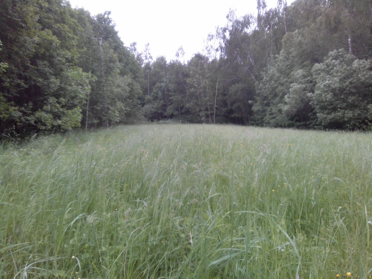 Купить загородную недвижимость в деревне Деревеньки Боровского района,  продажа загородной недвижимости - база объявлений Циан. Найдено 1 объявление