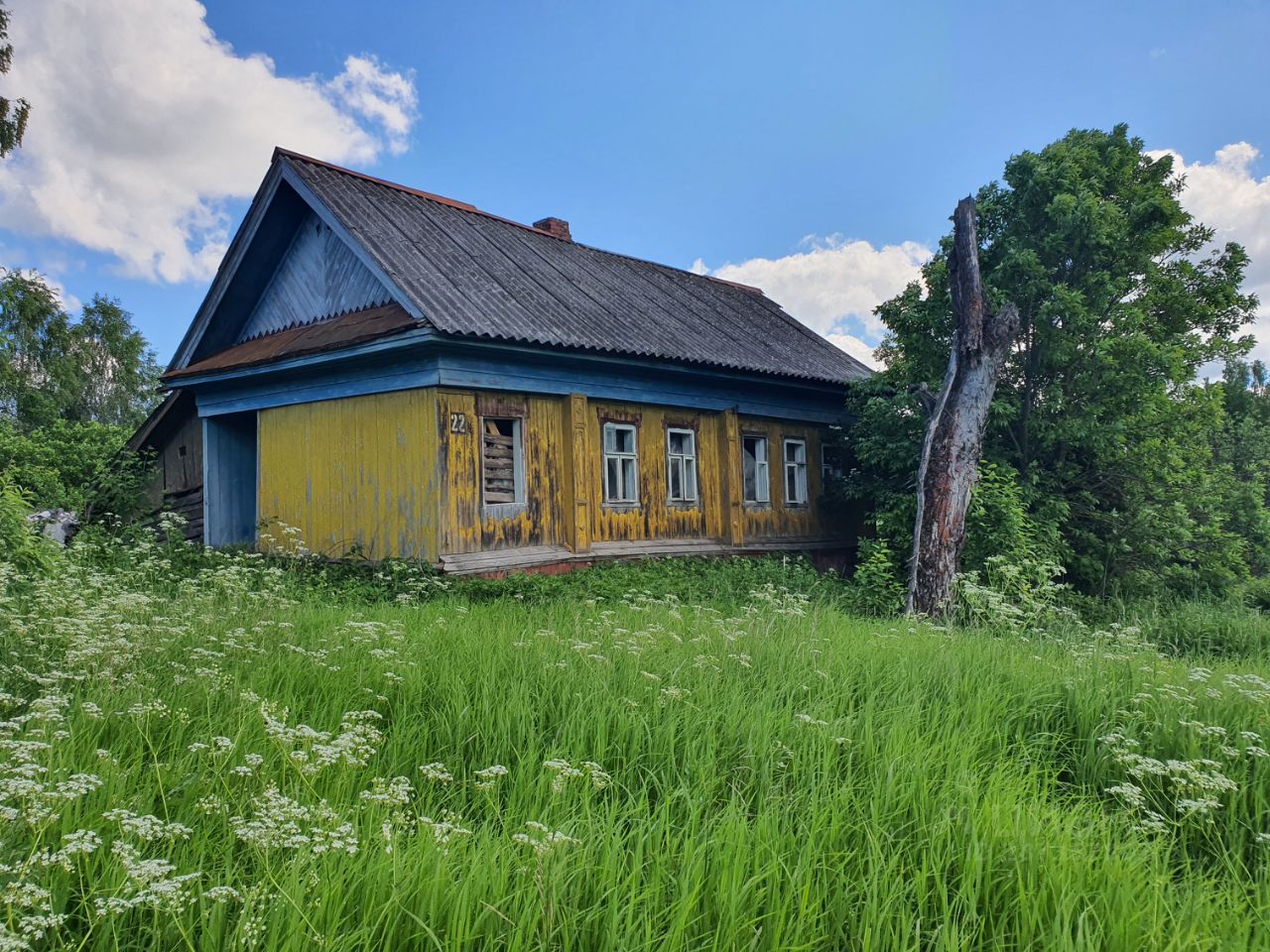 Продажа дома 49,4сот. 20, Нижегородская область, Чкаловск городской округ,  Бубново деревня - база ЦИАН, объявление 287357803