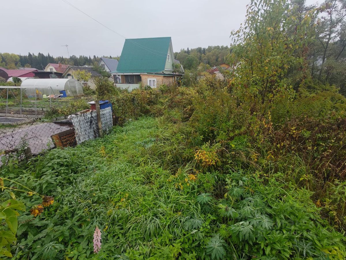 Купить земельный участок в СНТ Талица городского округа Дмитровского,  продажа земельных участков - база объявлений Циан. Найдено 1 объявление